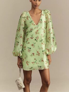 ✨BHLDN Samantha Long-Sleeve Organza Mini Dress Size L